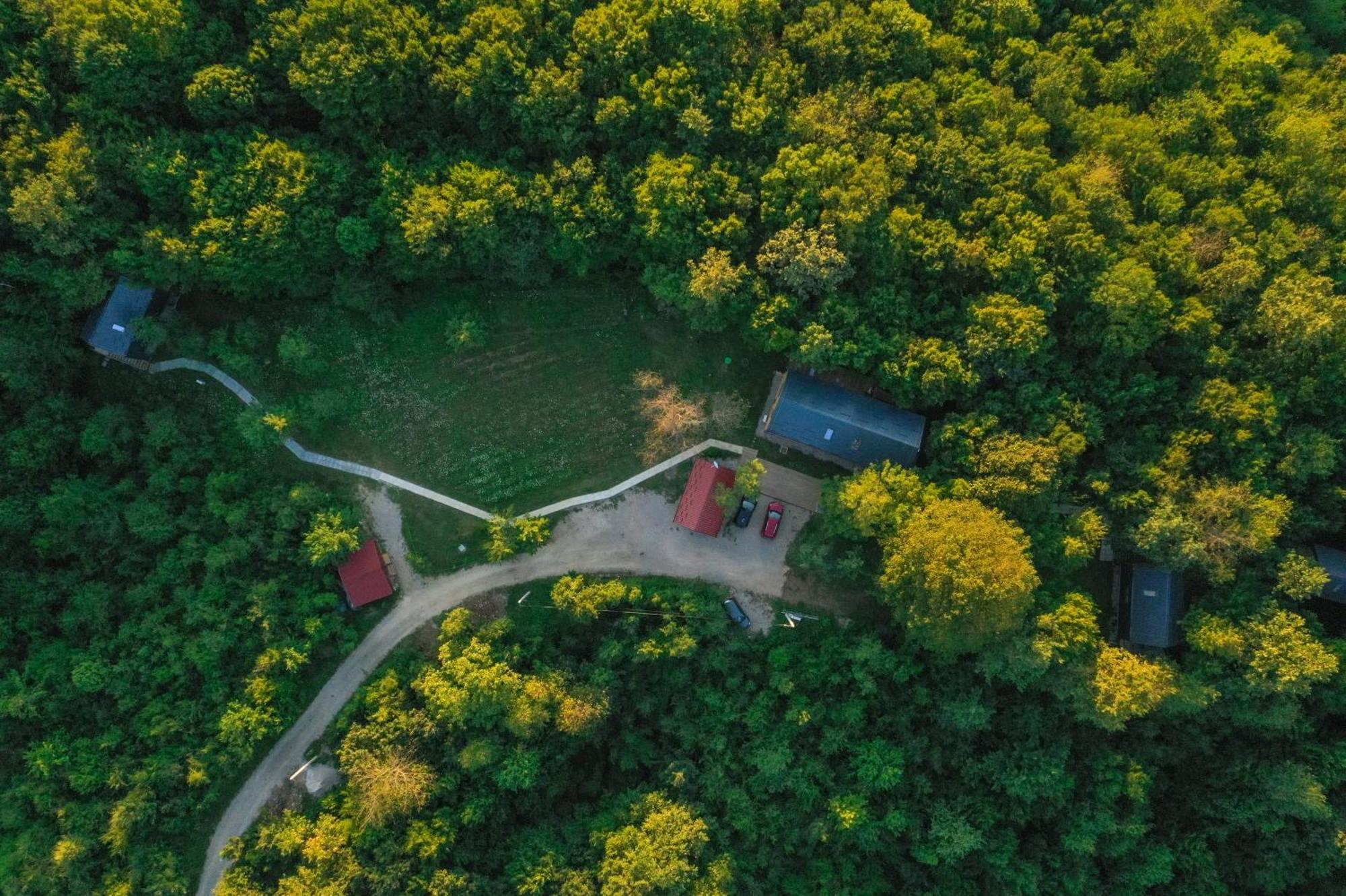Tree Elements Treehouse Retreat Apartment Slunj Room photo